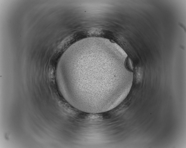 X0000102800619200809021138