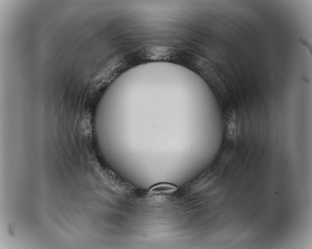 X0000102800620200809021138