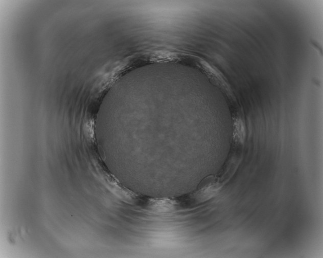 X0000102800621200809021138