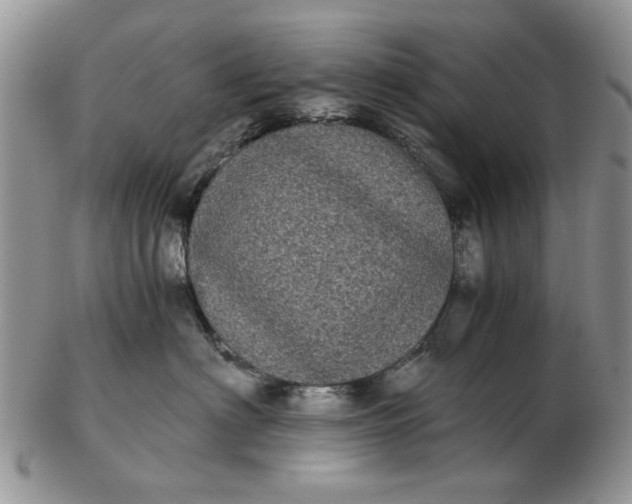 X0000102800622200809021138