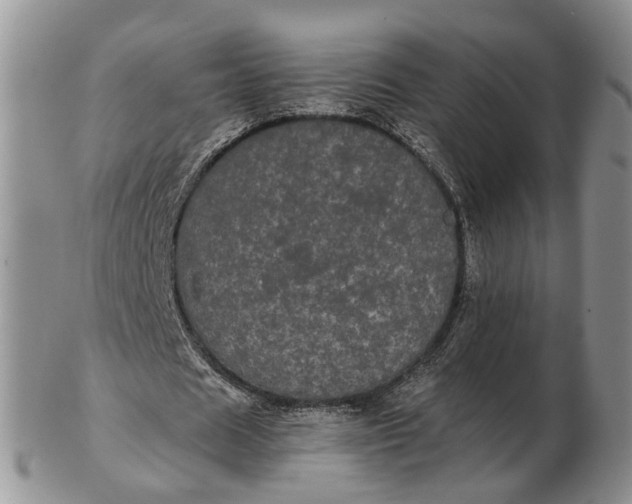 X0000102800625200809021137