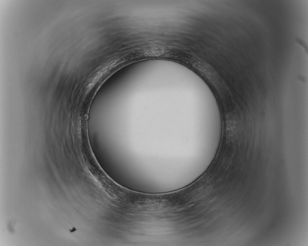 X0000102800626200809021137