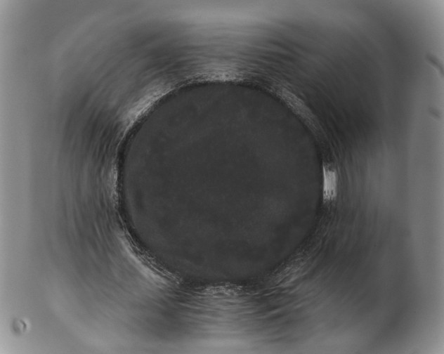 X0000102800627200809021137