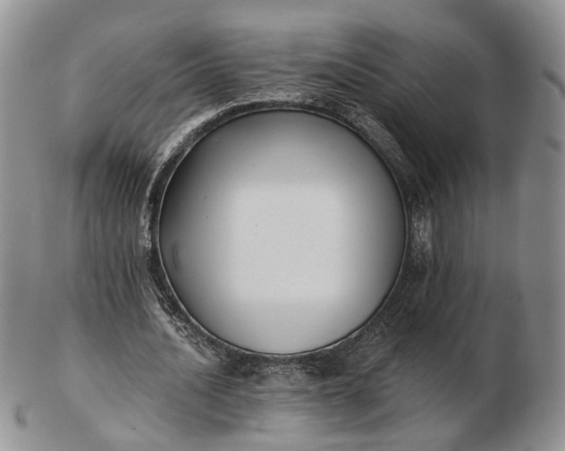 X0000102800628200809021137