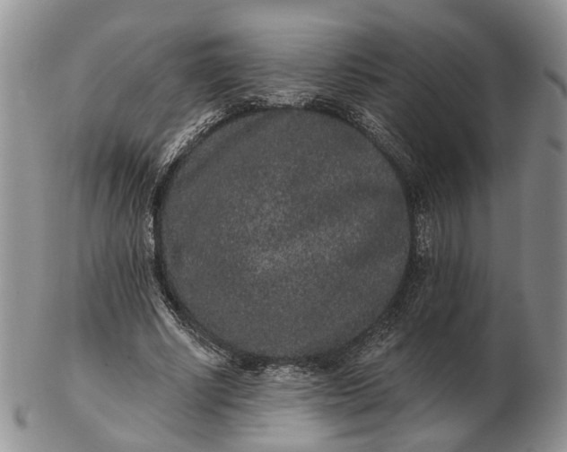 X0000102800634200809021137