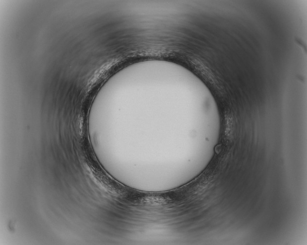 X0000102800636200809021137