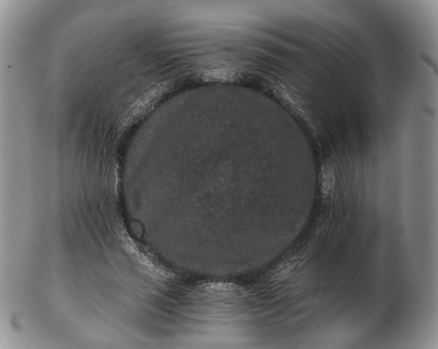 X0000102800637200809021137