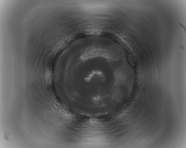 X0000102800641200809021137