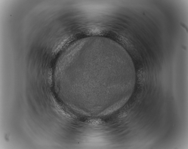 X0000102800642200809021137