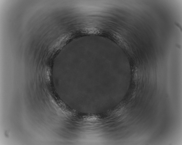 X0000102800643200809021137