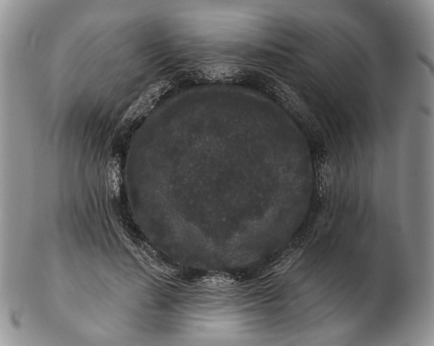 X0000102800644200809021137