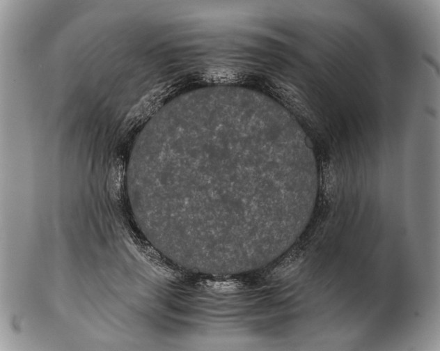 X0000102800645200809021137