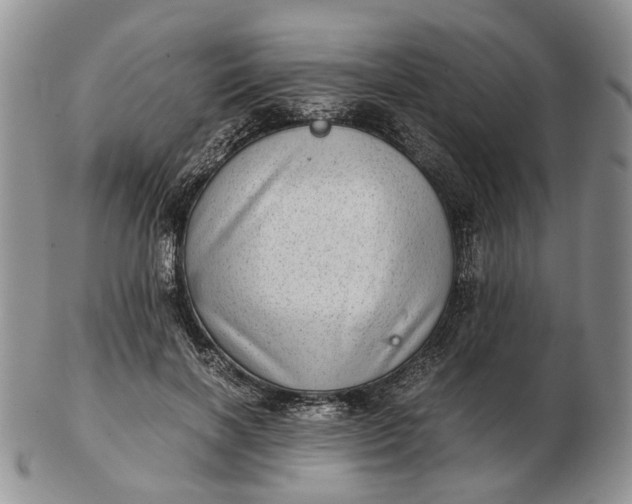 X0000102800646200809021137