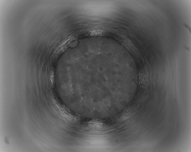 X0000102800648200809021137