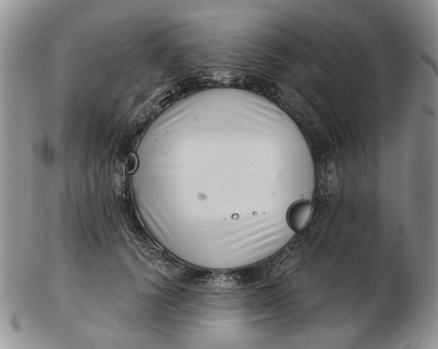 X0000102800656200809021137