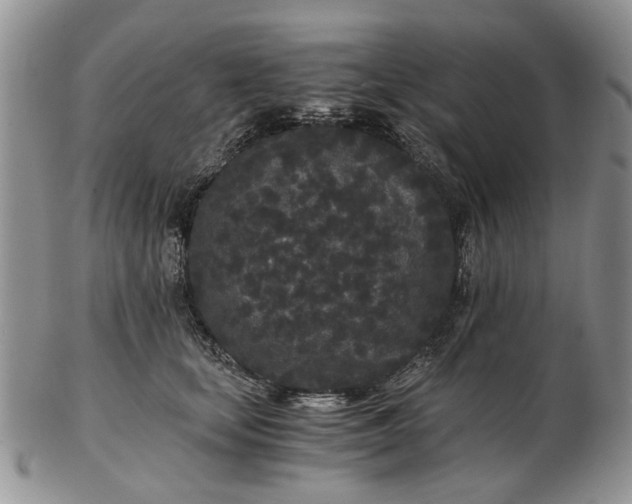 X0000102800659200809021137