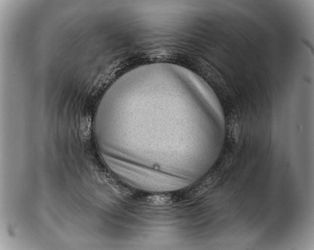 X0000102800660200809021137