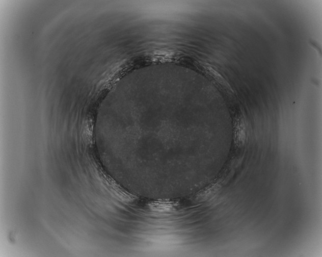 X0000102800661200809021138