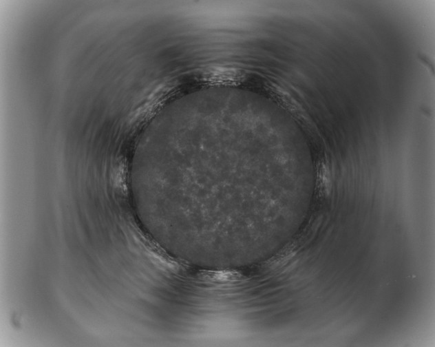 X0000102800663200809021138