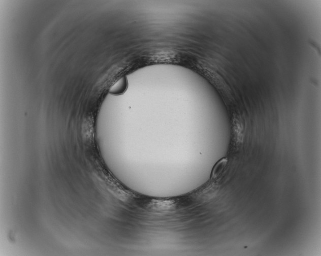 X0000102800665200809021138