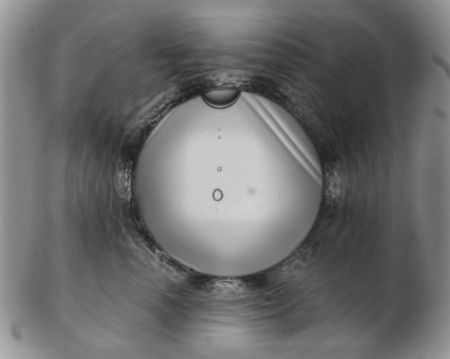 X0000102800666200809021138