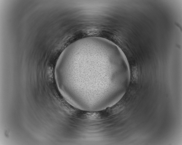 X0000102800667200809021138