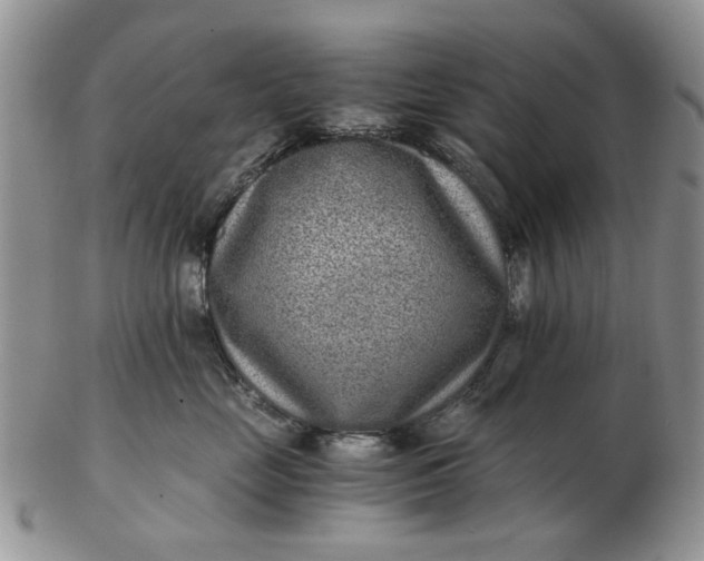 X0000102800669200809021138