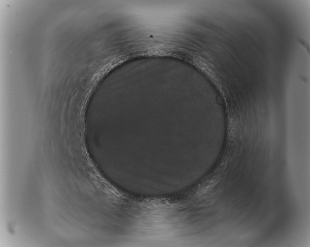 X0000102800673200809021137