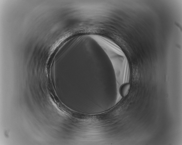 X0000102800674200809021137