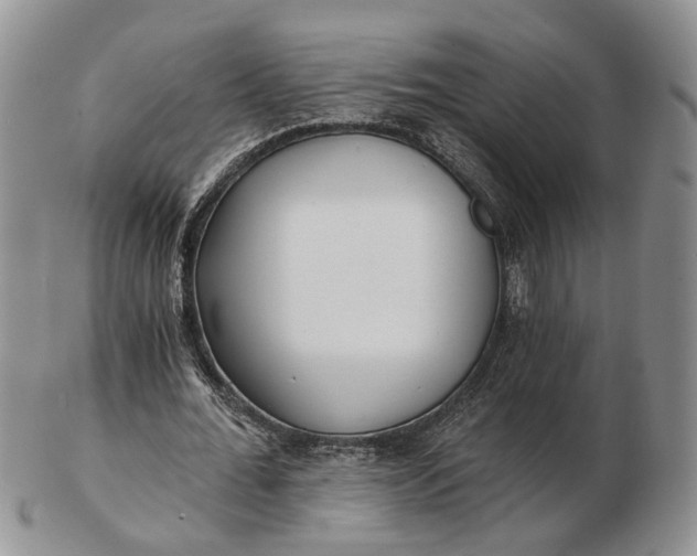 X0000102800676200809021137