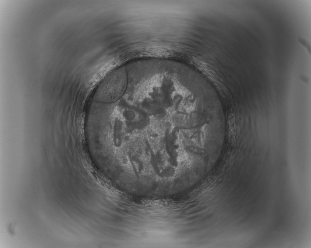 X0000102800679200809021137