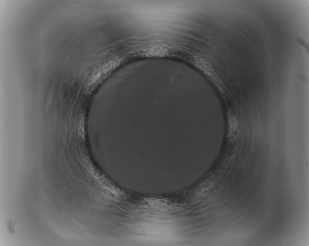 X0000102800681200809021137