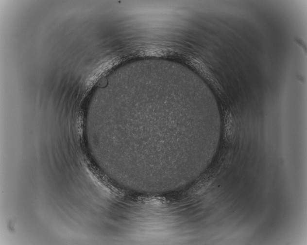 X0000102800683200809021137