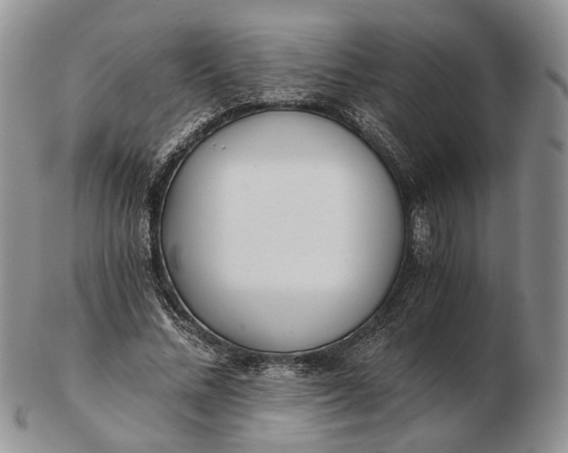 X0000102800684200809021137