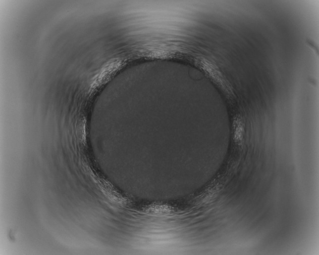 X0000102800685200809021137