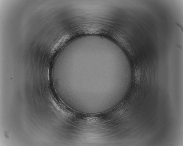 X0000102800686200809021137