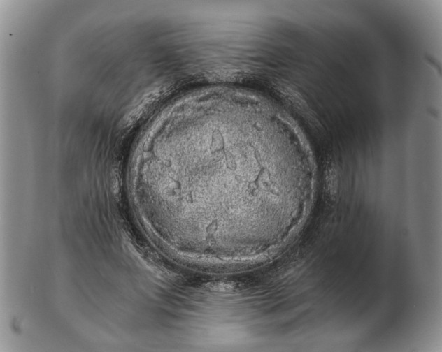 X0000102800687200809021137