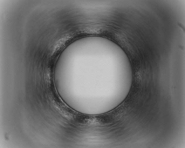 X0000102800688200809021137