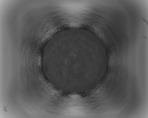 X0000102800689200809021137