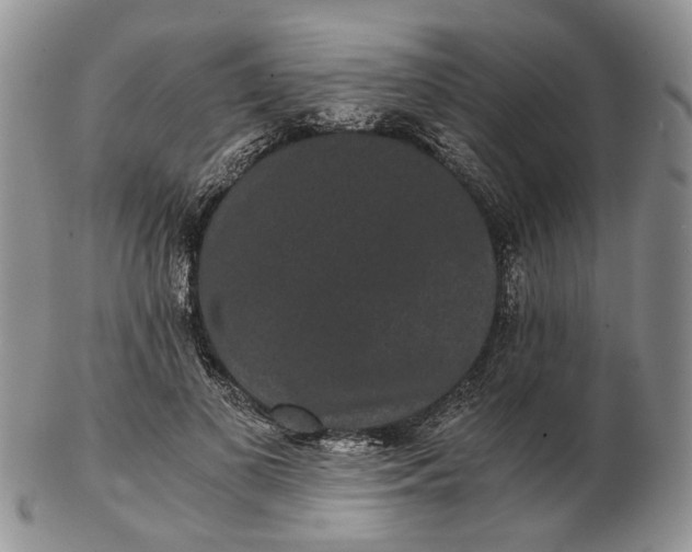 X0000102800693200809021137