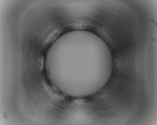 X0000102800694200809021137