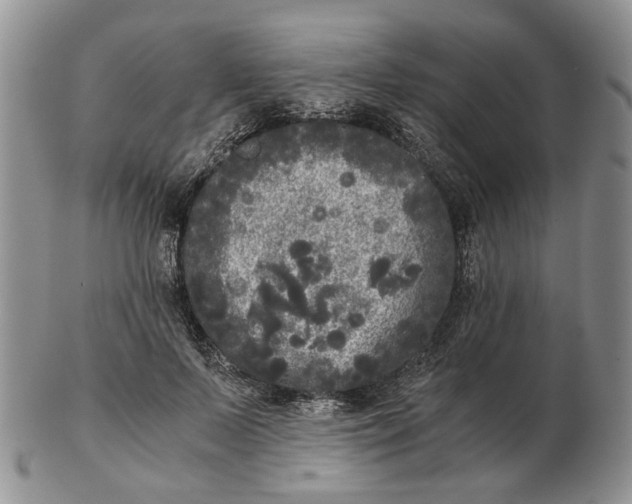 X0000102800695200809021137