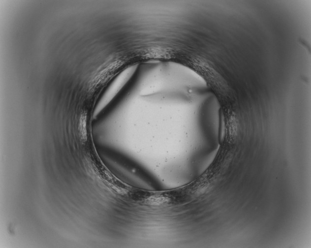 X0000102800696200809021137