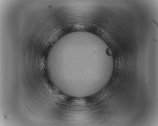 X0000102800702200809021137