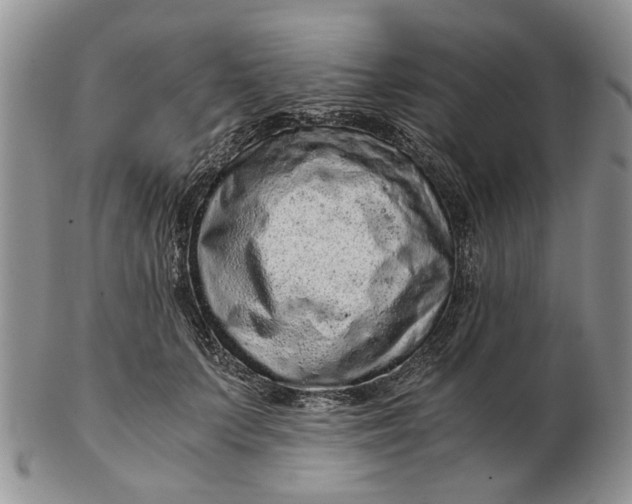 X0000102800703200809021137