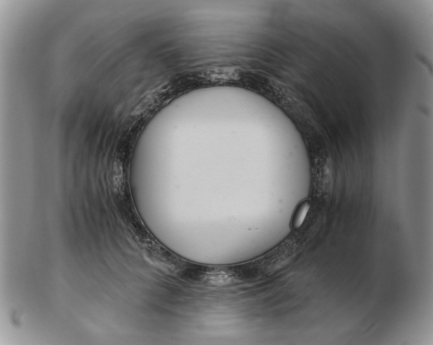 X0000102800704200809021137