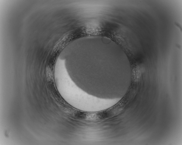 X0000102800705200809021137