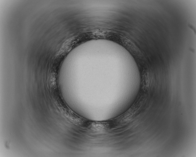 X0000102800706200809021137