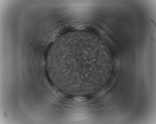 X0000102800707200809021137