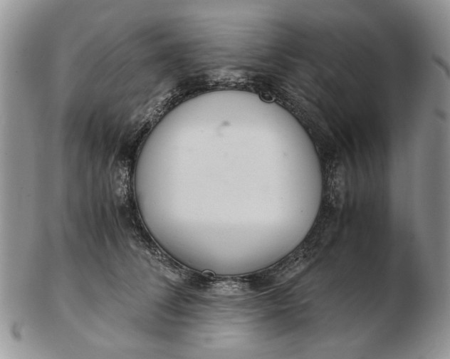 X0000102800708200809021137